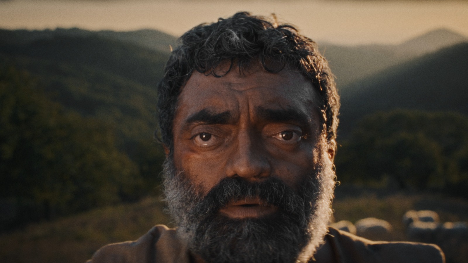 Una faccia da cinema